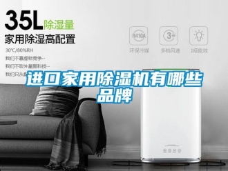 企業(yè)新聞進口家用除濕機有哪些品牌