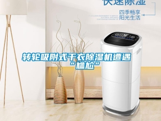 知識(shí)百科轉(zhuǎn)輪吸附式干衣除濕機(jī)遭遇“尷尬”
