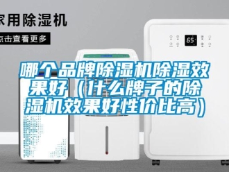 企業新聞哪個品牌除濕機除濕效果好（什么牌子的除濕機效果好性價比高）