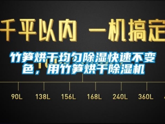 知識百科竹筍烘干均勻除濕快速不變色，用竹筍烘干除濕機