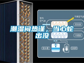 企業新聞潮濕悶熱謹，當心蛇出沒