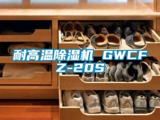 行業新聞耐高溫除濕機 GWCFZ-20S