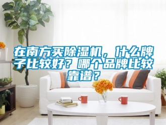 企業新聞在南方買除濕機，什么牌子比較好？哪個品牌比較靠譜？