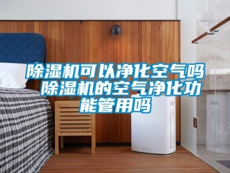 行業新聞除濕機可以凈化空氣嗎 除濕機的空氣凈化功能管用嗎