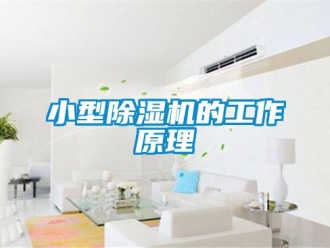 行業(yè)新聞小型除濕機的工作原理