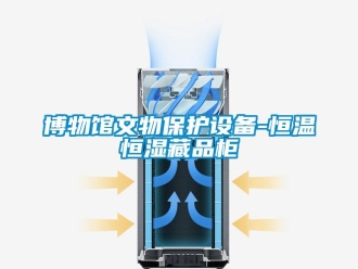 知識百科博物館文物保護設備-恒溫恒濕藏品柜