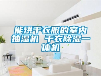 行業新聞能烘干衣服的室內抽濕機 干衣除濕一體機