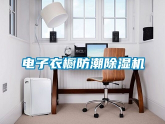 行業(yè)新聞電子衣櫥防潮除濕機