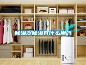 行業新聞除濕器除濕有什么用嗎