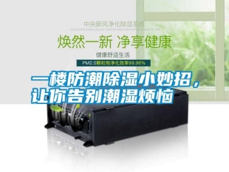 知識百科一樓防潮除濕小妙招，讓你告別潮濕煩惱