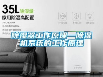 行業新聞除濕器工作原理—除濕機系統的工作原理