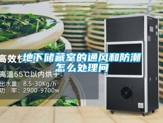 企業新聞地下儲藏室的通風和防潮怎么處理問