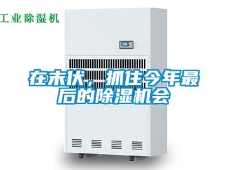 行業新聞在末伏，抓住今年最后的除濕機會