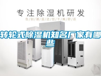 知識(shí)百科轉(zhuǎn)輪式除濕機(jī)知名廠家有哪些