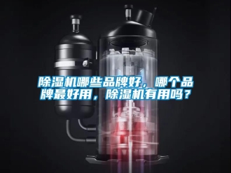 企業(yè)新聞除濕機哪些品牌好，哪個品牌最好用，除濕機有用嗎？