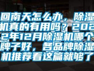企業新聞回南天怎么辦，除濕機真的有用嗎？2022年12月除濕機哪個牌子好，各品牌除濕機推薦看這篇就夠了