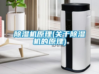 行業(yè)新聞除濕機(jī)原理(關(guān)于除濕機(jī)的原理)