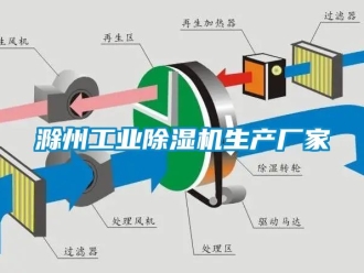 企業新聞滁州工業除濕機生產廠家