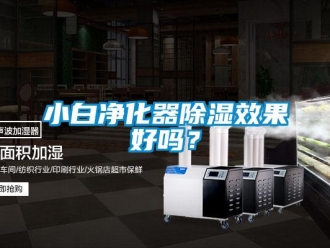 行業新聞小白凈化器除濕效果好嗎？