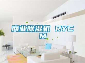 行業(yè)新聞商業(yè)除濕機(jī) RYCM