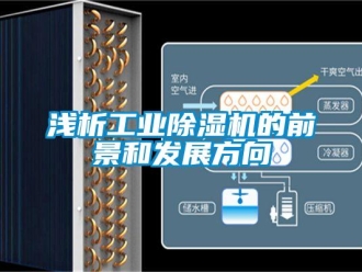行業新聞淺析工業除濕機的前景和發展方向