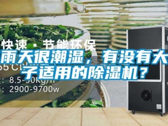 行業新聞下雨天很潮濕，有沒有大房子適用的除濕機？