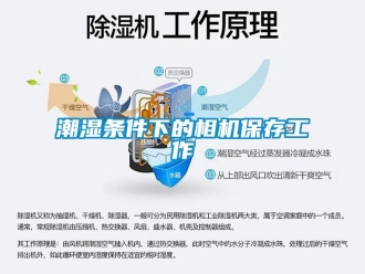 企業(yè)新聞潮濕條件下的相機(jī)保存工作
