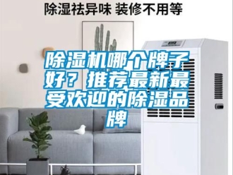 企業新聞除濕機哪個牌子好？推薦最新最受歡迎的除濕品牌