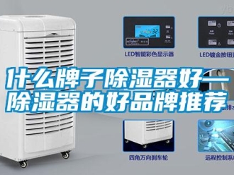 行業新聞什么牌子除濕器好—除濕器的好品牌推薦