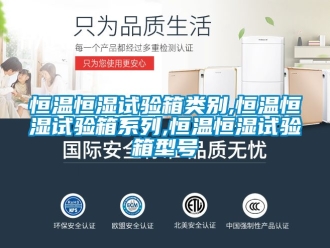 知識百科恒溫恒濕試驗箱類別,恒溫恒濕試驗箱系列,恒溫恒濕試驗箱型號