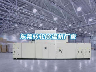 企業新聞東莞轉輪除濕機廠家