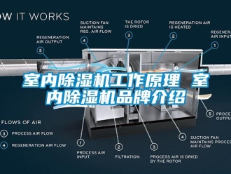 企業新聞室內除濕機工作原理 室內除濕機品牌介紹