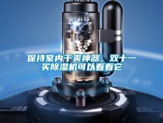 企業(yè)新聞保持室內(nèi)干爽神器，雙十一買除濕機可以看看它