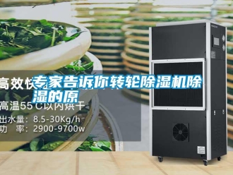 知識百科專家告訴你轉輪除濕機除濕的原