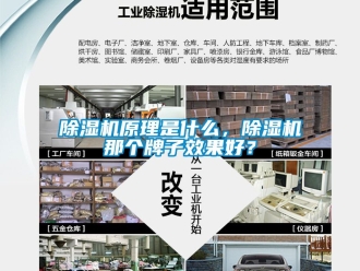 行業新聞除濕機原理是什么，除濕機那個牌子效果好？