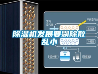 企業(yè)新聞除濕機(jī)發(fā)展要剔除散亂小