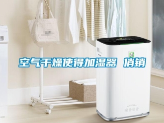 行業新聞空氣干燥使得加濕器 俏銷