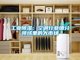 企業(yè)新聞工業(yè)除濕：空調(diào)行業(yè)細(xì)分領(lǐng)域里的大市場(chǎng)