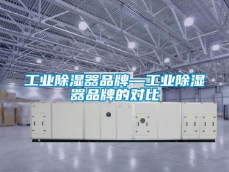 行業(yè)新聞工業(yè)除濕器品牌—工業(yè)除濕器品牌的對比