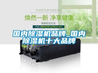 企業(yè)新聞國內(nèi)除濕機(jī)品牌_國內(nèi)除濕機(jī)十大品牌