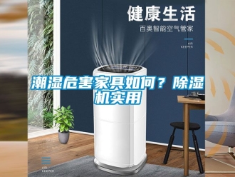 企業(yè)新聞潮濕危害家具如何？除濕機實用