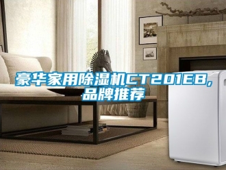 企業(yè)新聞豪華家用除濕機CT201EB,品牌推薦