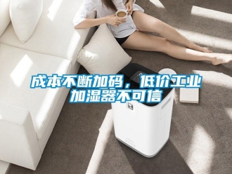 企業新聞成本不斷加碼，低價工業加濕器不可信