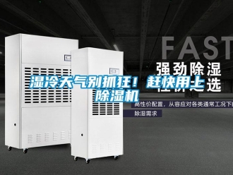 知識百科濕冷天氣別抓狂！趕快用上除濕機