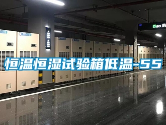 知識百科恒溫恒濕試驗箱低溫-55℃