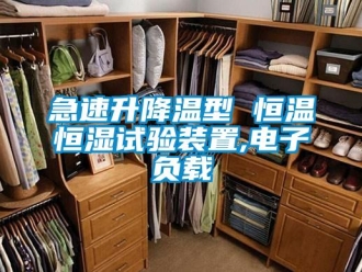 知識百科急速升降溫型 恒溫恒濕試驗裝置,電子負載