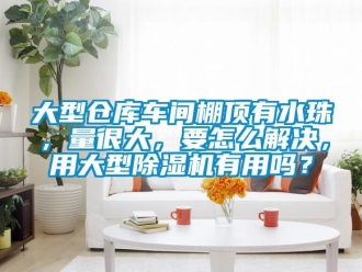 企業(yè)新聞大型倉庫車間棚頂有水珠，量很大，要怎么解決，用大型除濕機有用嗎？