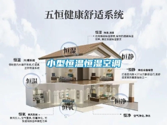 知識百科小型恒溫恒濕空調(diào)