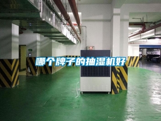 企業新聞哪個牌子的抽濕機好
