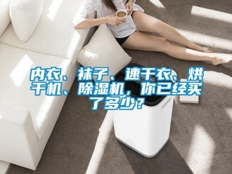 行業新聞內衣、襪子、速干衣、烘干機、除濕機，你已經買了多少？